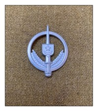 Insigne Mauritanie Afrique Douanes Police casque GIGN GIPN RAID Gendarmerie