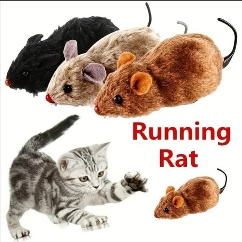 Jouet rat course - jouet,