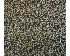 De Luxe Sequin Danse Wear