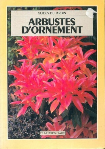 Arbustes ornement ethne - d'ornement,