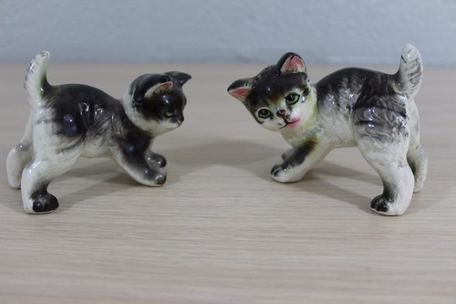 Playful cat kitten - cat,