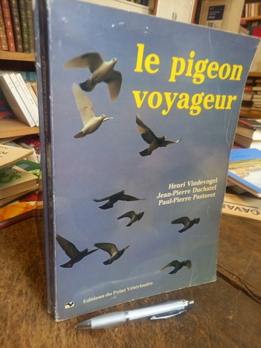 Pigeon voyageur henri - le,