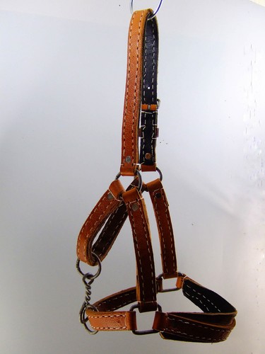 Licol cuir naturel cousu - licol, en