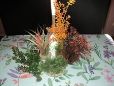 décor d'aquarium lot de