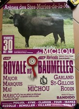 affiche course camarguaise -