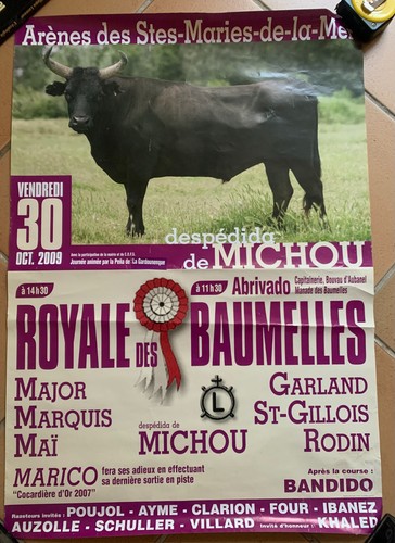 Affiche course camarguaise - affiche,