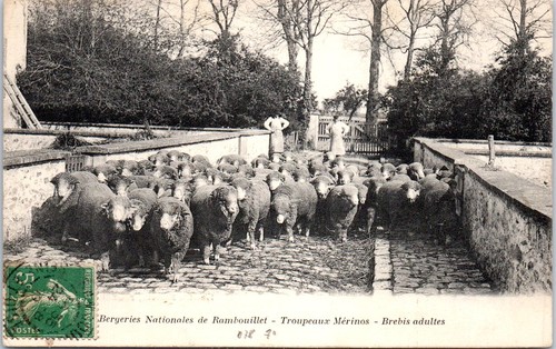 Rambouillet la bergerie - -,