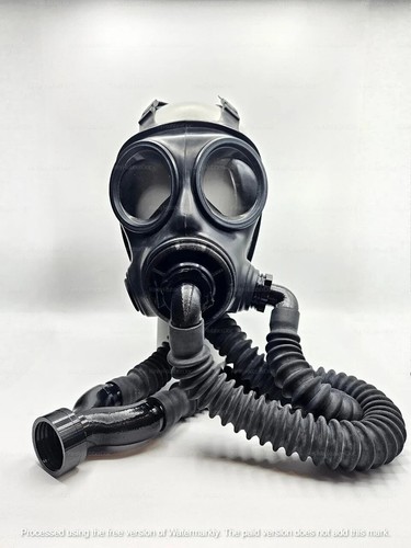 S10 fm12 gas mask upgrade - /,