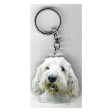 Briquet Griffon Vendéen CHIEN