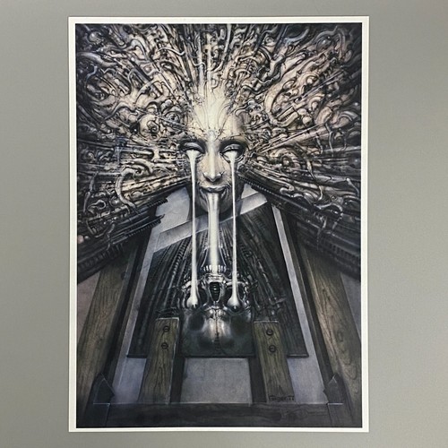 Miroir image giger - h.,