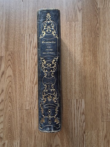 Grandville scènes de - 📚,