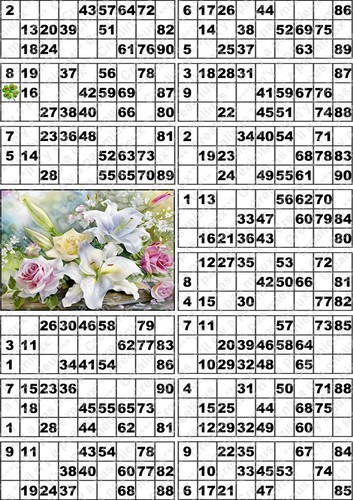 Plaque cartons de - 14, loto