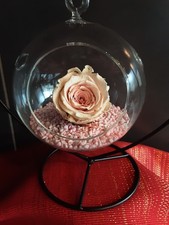 Magnifique vase suspendu avec