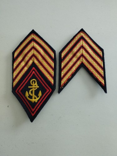 Galons tradition sergent major - tradition, sergent-major