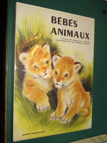 Bébés animaux marcelle - bébés,