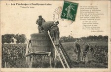 Cpa les vendanges - cpa,