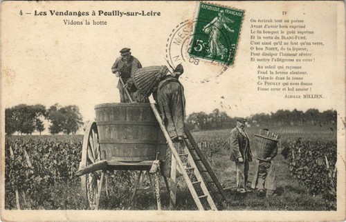 Cpa les vendanges - les,
