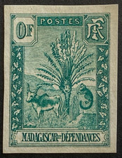 Madagascar Zébu Ravenala -