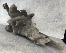 DÉCOR TERRARIUM PALUDARIUM AQUARIUM SOUCHE  XXL 60 X 30 CM RARE. BOIS RACINE