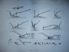GRAVURE 1880 AGRICULTURE