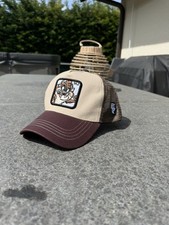 Casquette Taz