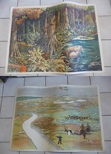Affiche Scolaire vintage An 50's Rossignol école -->   LA FORÊT / LA TOUNDRA