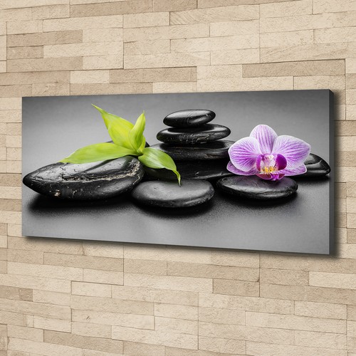 Tulup image sur - sur, tableau