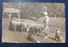Berger ses deux chiens - et,