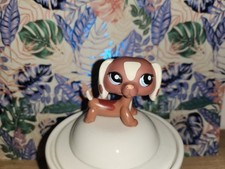 littlest petshop,teckel, Dog