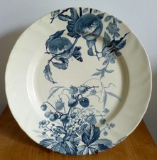 Creil et Montereau Ancien grand plat rond Modèle POMONE décor fruits Fin XIXe