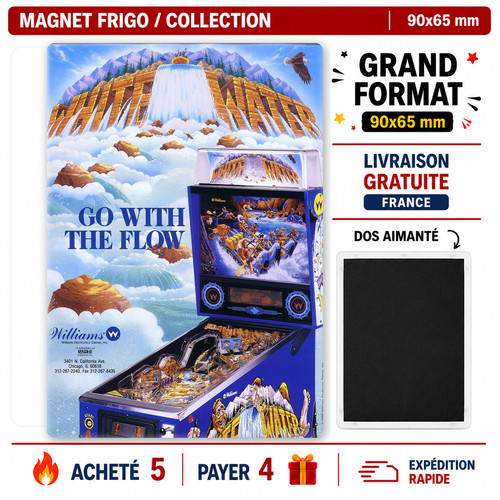 Magnet frigo flipper white - frigo,