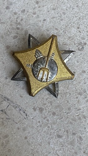 Pin insigne brevet de - insigne,