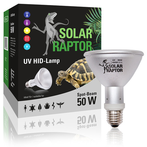 Solar raptor hid - solar, lamp