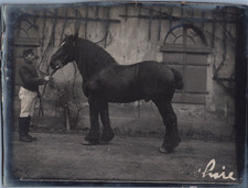 France, Concours Hippique