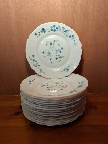 Arcopal myosotis lot - myosotis,