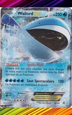Wailord xy5 primo choc - -,