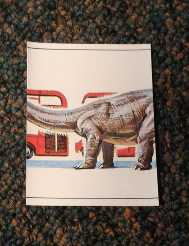 Panini animaux - panini, **
