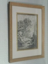 1870 Forêt Cerfs Beau Dessin