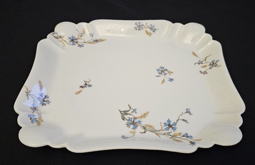 Magnifique plat - magnifique,