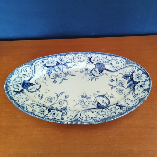 Plat modele flora - modele,