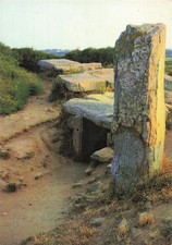 56 LOCMARIAQUER LE DOLMEN DES