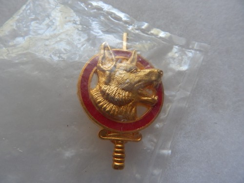 Brevet maitre chien ct2 - brevet,