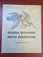BECASSE, BECASSINES ET PETITS
