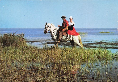 Camargue promenade cheval - 13,
