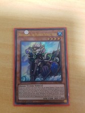 Barbe Blanche Casque de la