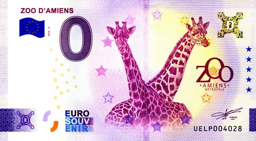 Amiens zoo girafes - amiens,