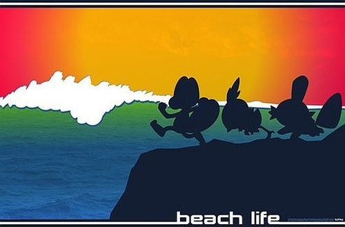 Pokemon plage vie affiche - vie,