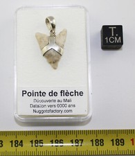 1 Collier pendentif pointe de