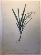 Pierre Joseph Redouté, les