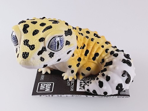 Leopard gecko - gecko, yellow)